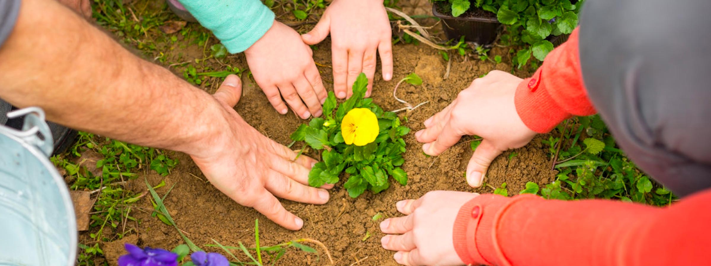 Kids and adults planting a flower